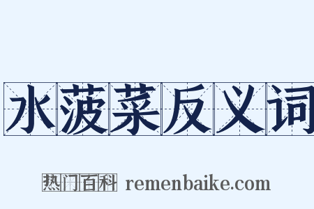 水菠菜反义词是什么意思的图片